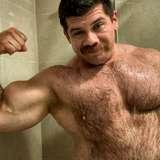 coltmusclebear