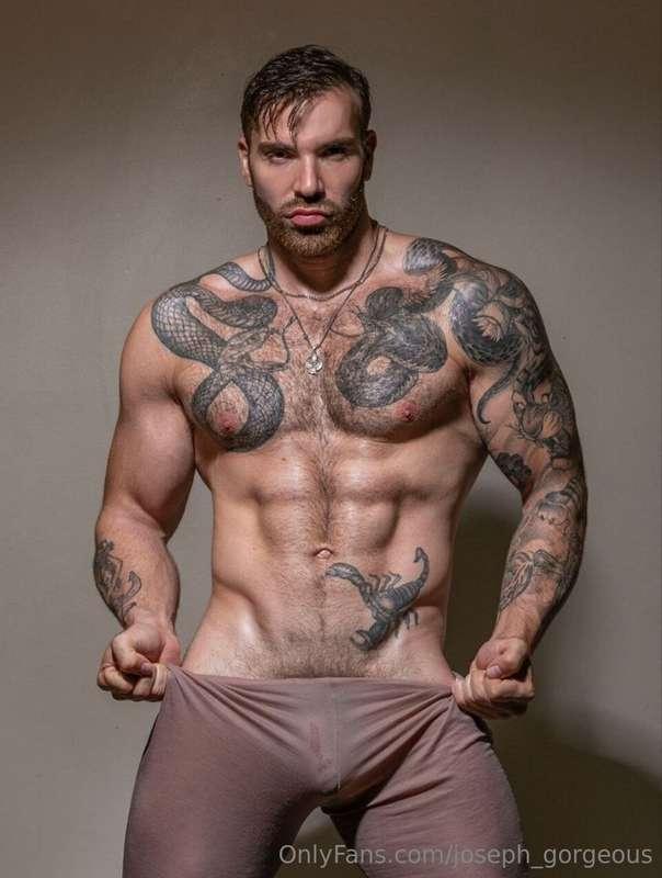 ## @themaxhilton   "Pornstar, model, bodybuilder, pro stripp..