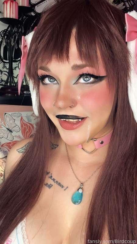 coophound image #10