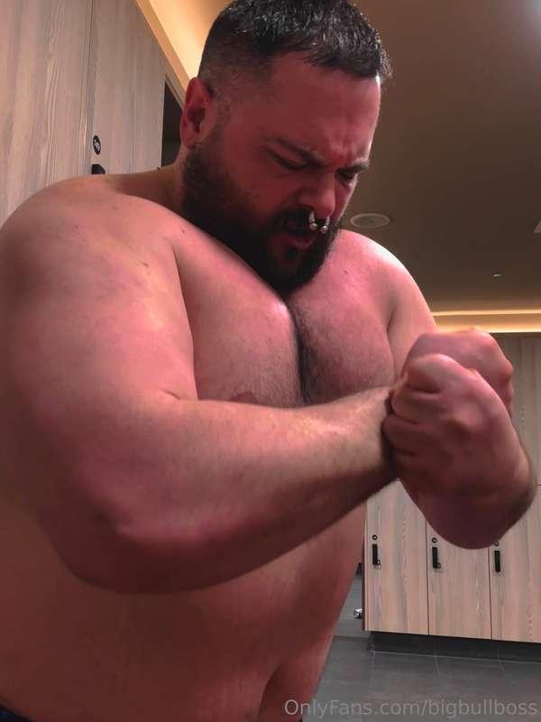 Some Bull vibe pictures!