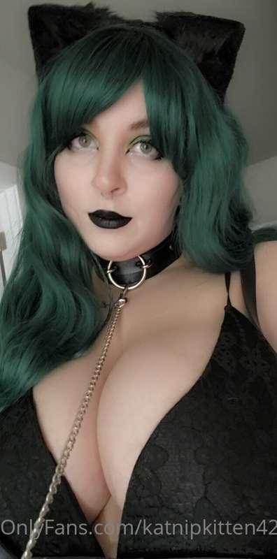 I'm a cute goth kitty, can we play?