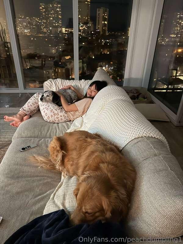 Booked & busy this weekend dog sitting (I have 4 dogs today ..