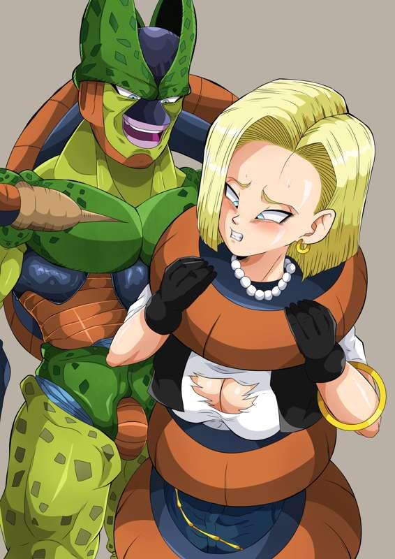 Cover Colored