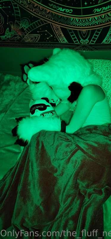the_fluff_nextdoor image #1