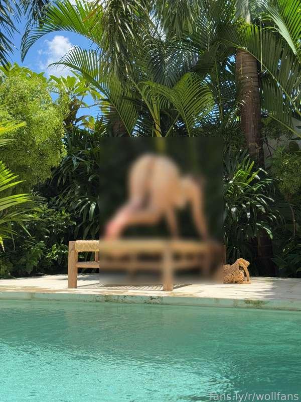 wollfans image #2