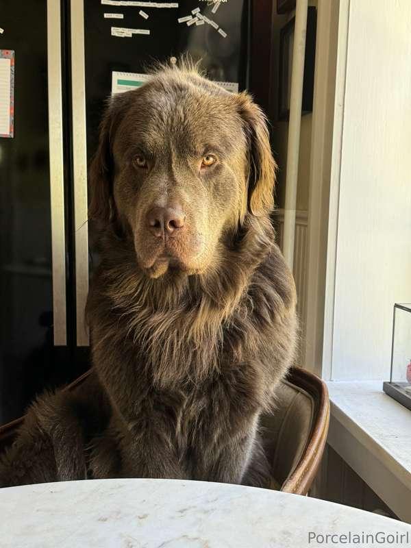 Are you just gonna sit there and judge everyone? 