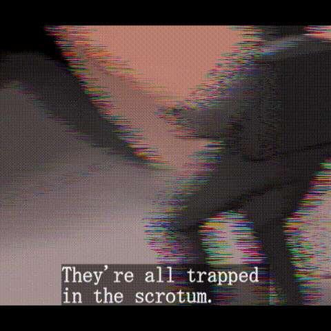 Last video recording found in ruins 