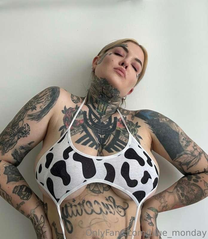 🐄🐄🐄