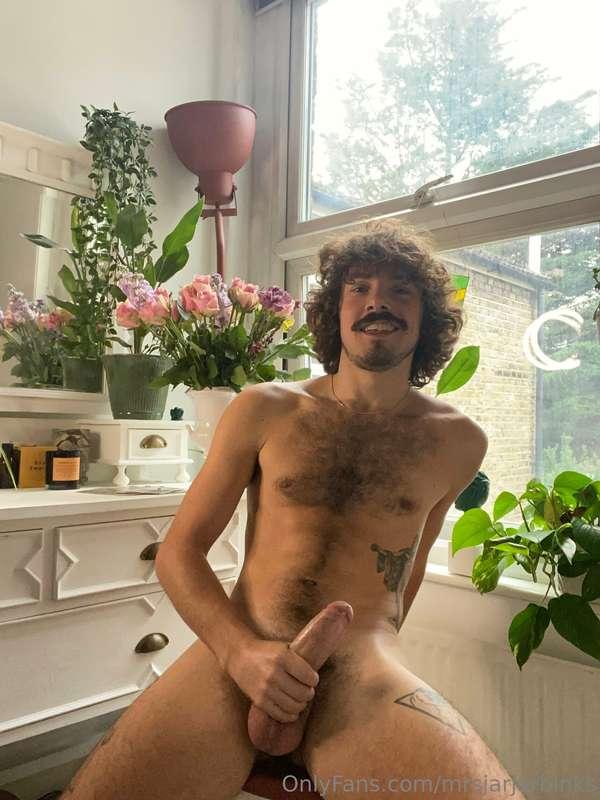 mrsjarjarbinks image #2