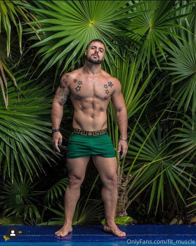 fit_muscle image #5