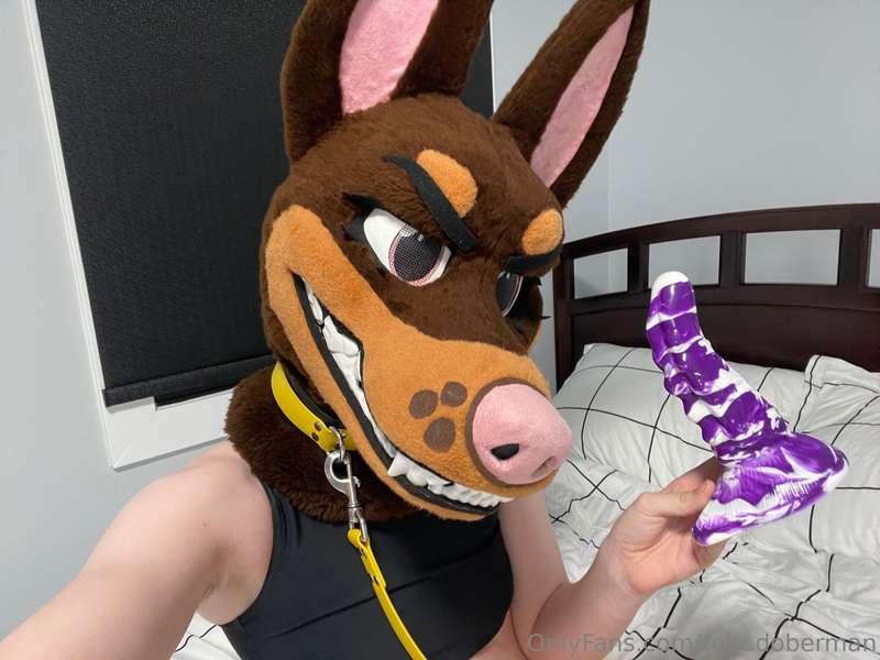 tobi.doberman image #0