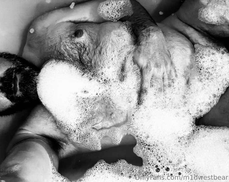 m1dwestbear image #4