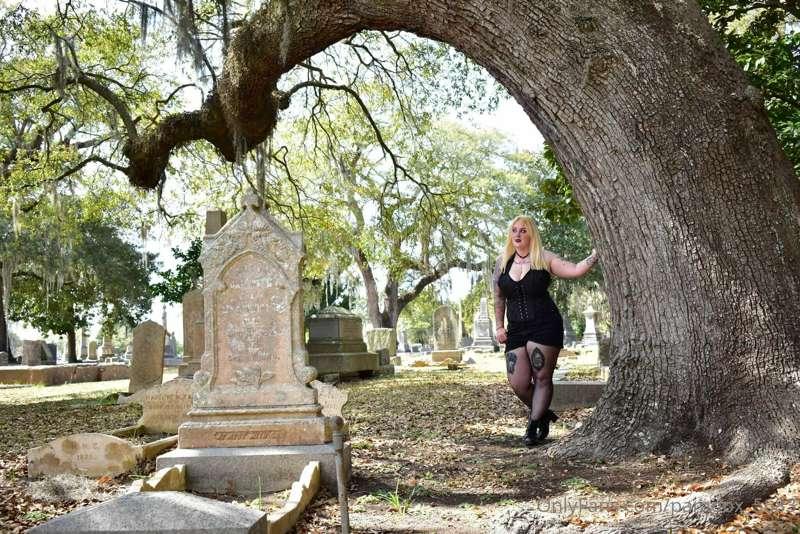 paradox_5683 image #8