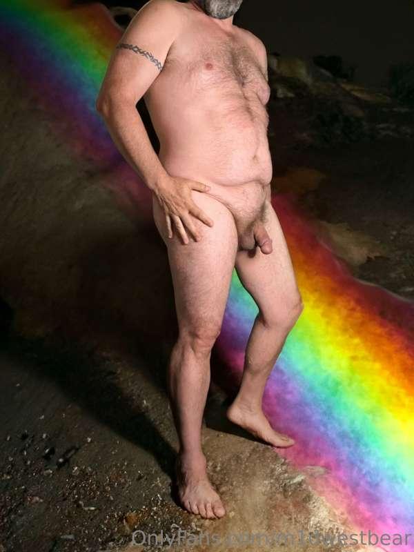 m1dwestbear image #2