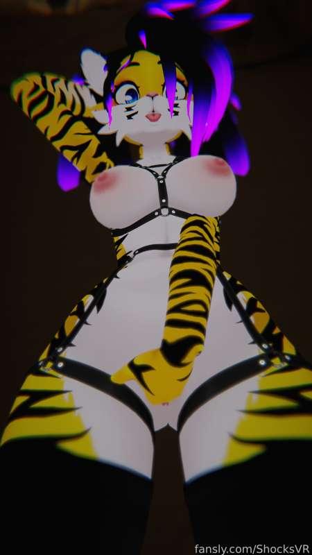 shocksvr image #10