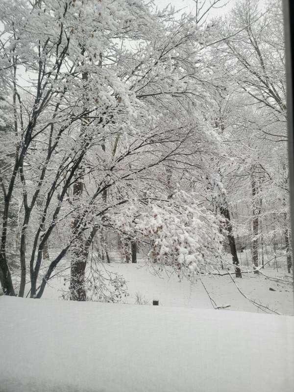 Winter wonderland
