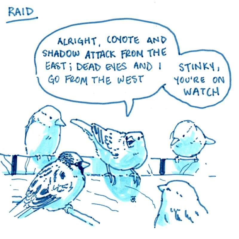 Raid