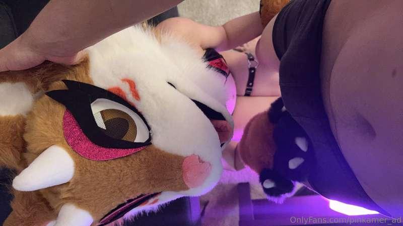 Hungry fox 😏❤️[blowjob content]