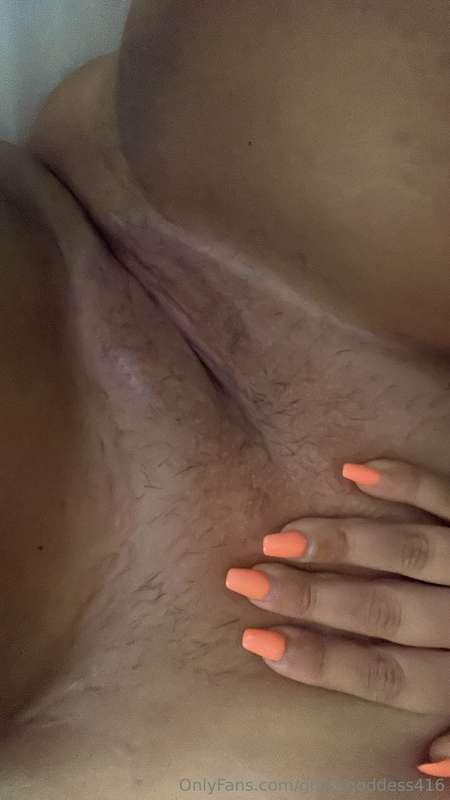 For those that want to see a bush.. this is the closest you’..