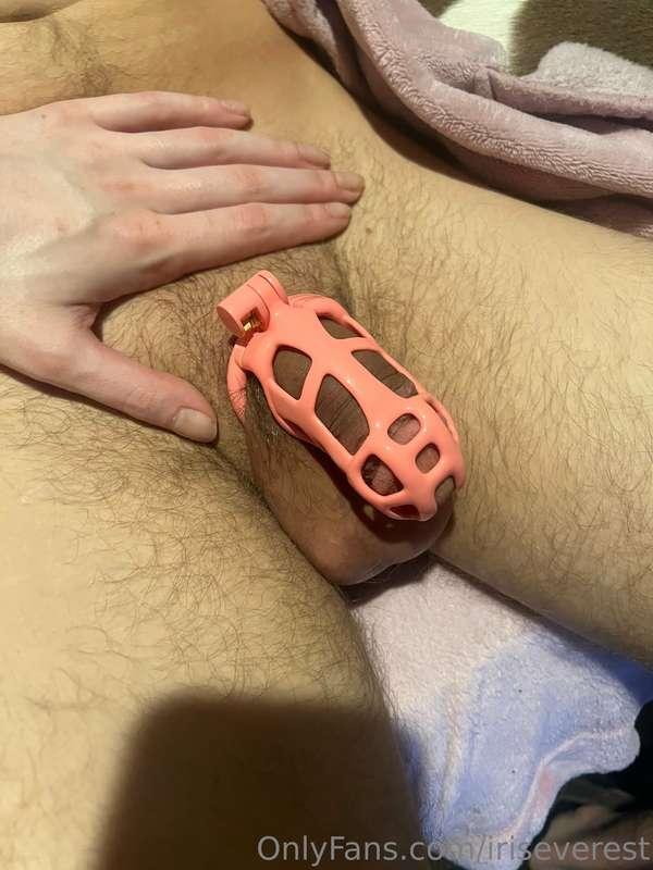 Got him a new gift and I just put it on 🥰 what do you guys t..