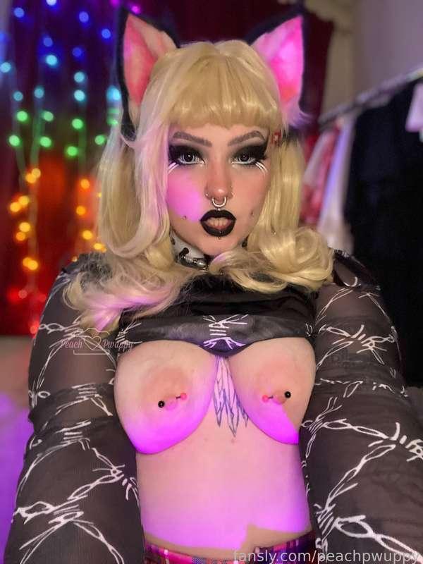 peachpwuppy image #8
