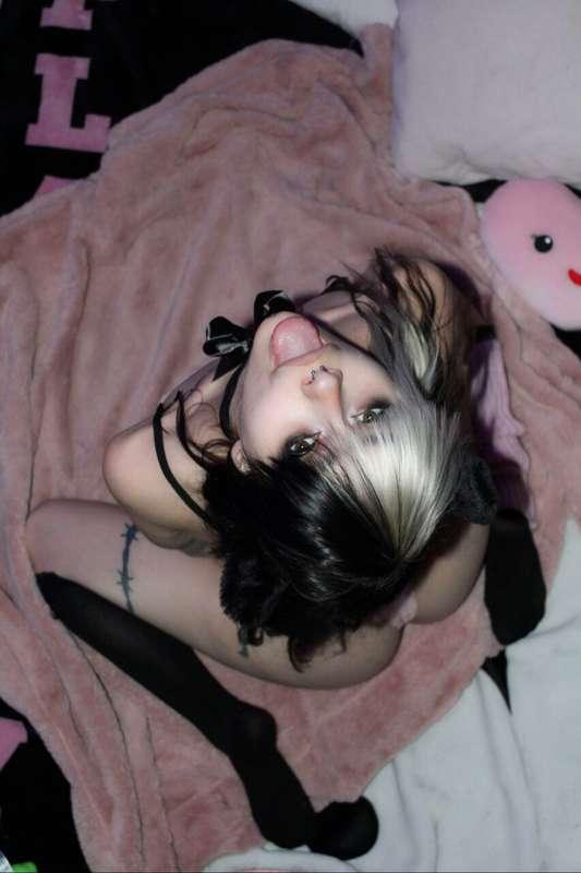 kitty_play123 image #13