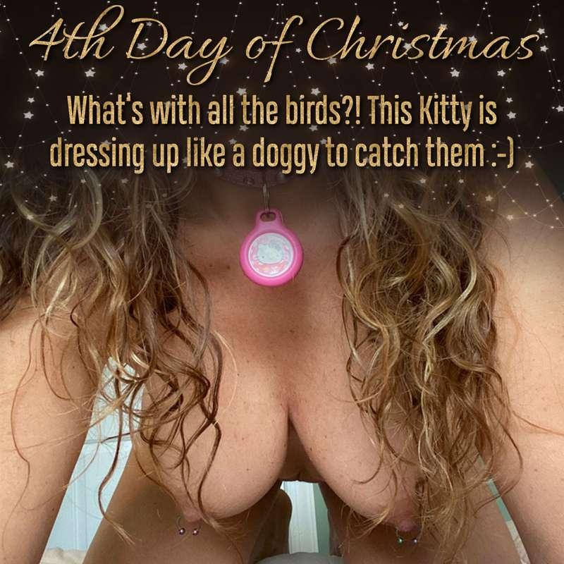 🎄12 Days of Christmas - Day 4: What’s with all the birds? Th..