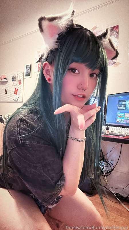 bunnykoisenpai image #2