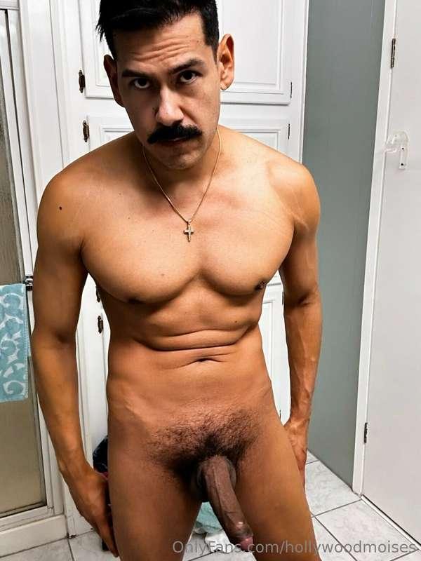 hollywoodmoises image #1