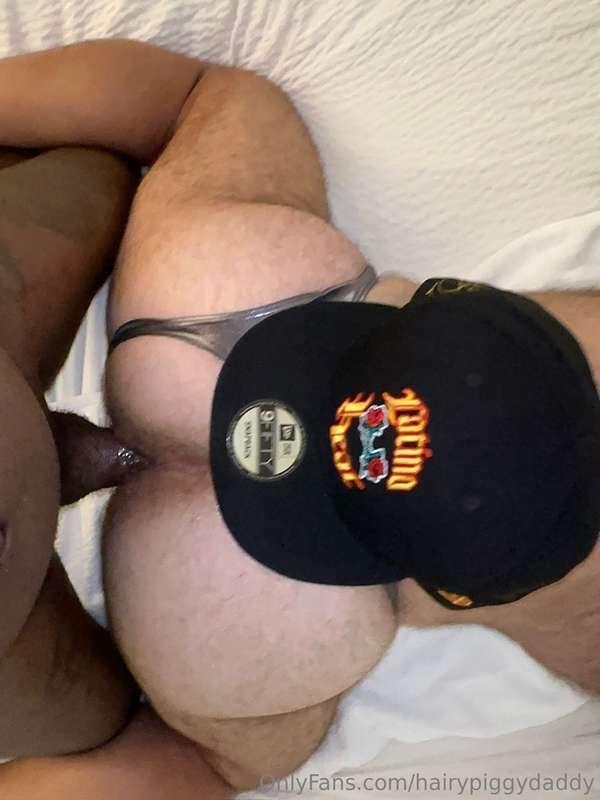hairypiggydaddy image #4