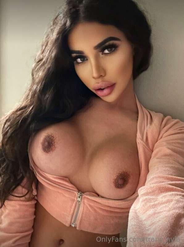 trans_nyla main image