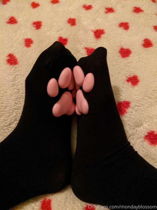 Teasers for my kitty set coming soon. Sub to my VIP account ..