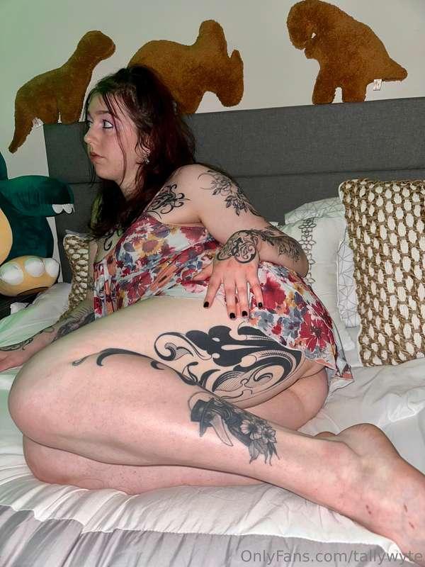 tallywyte image #2