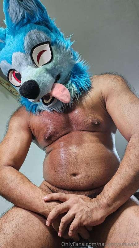 naughtyseawolf image #2