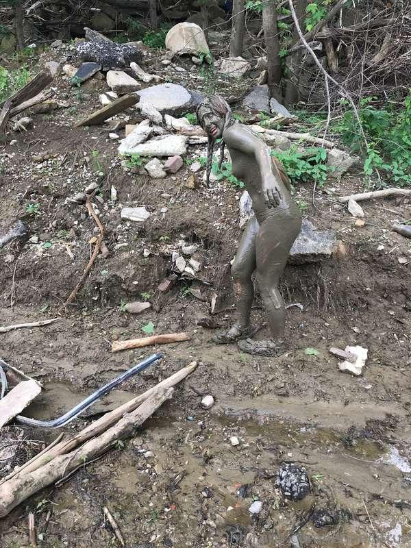 Happy Tuesday. Tits are out but they're covered in mud! A li..