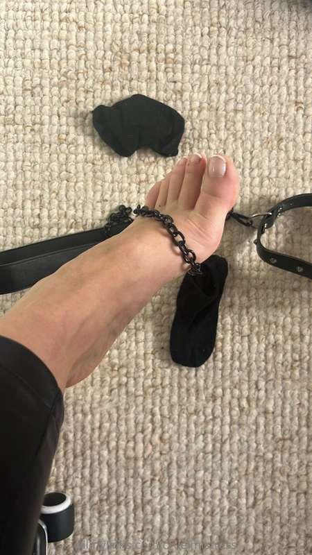 Who's gonna be on leash today ??