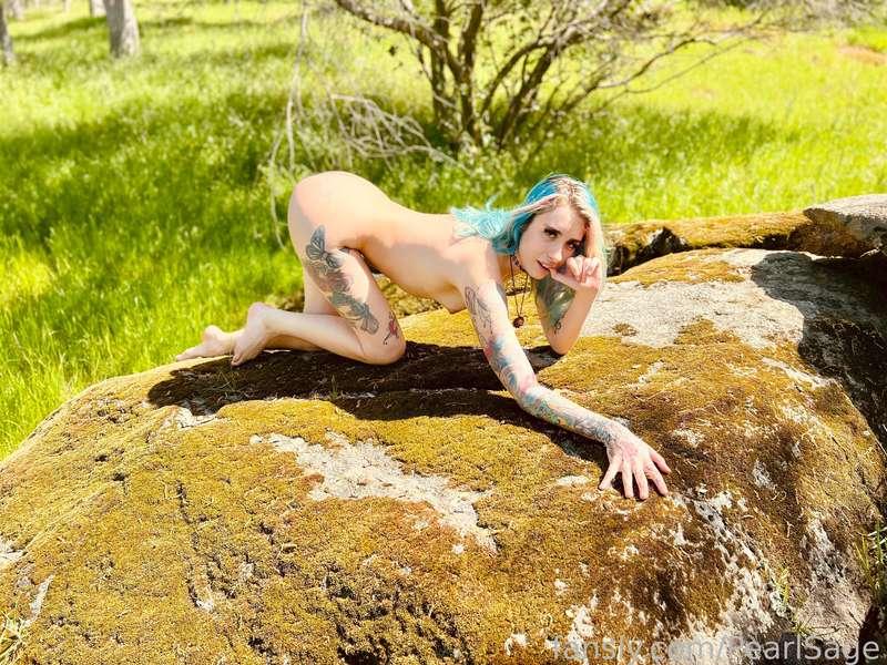 pearlsage image #4