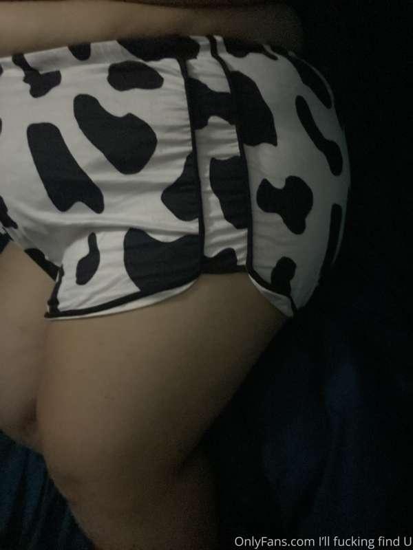 I got some cute cow shorts. 🥺 pls tell me if you like them.
