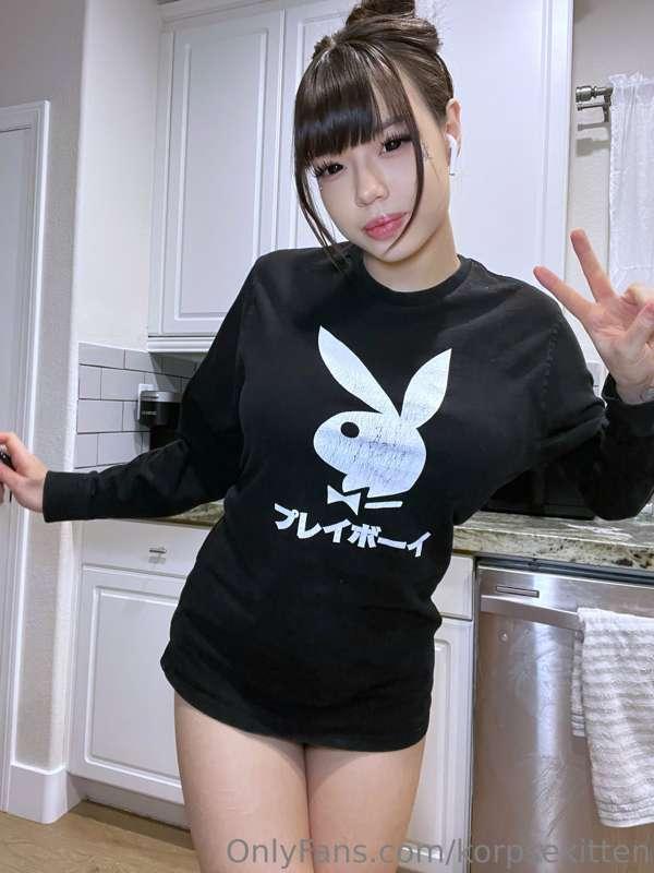 korpsekitten image #2