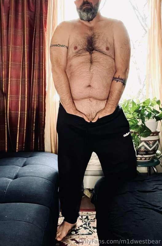 m1dwestbear image #0