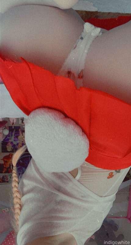indigowhite image #86