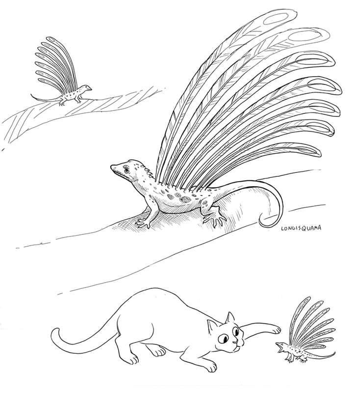 Extinct creatures-- Longisquama