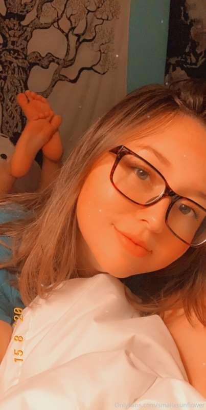 smallxsunflower image #4