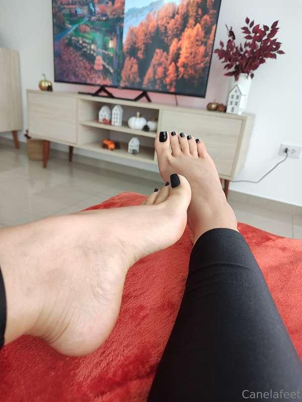 canelafeet1 image #0