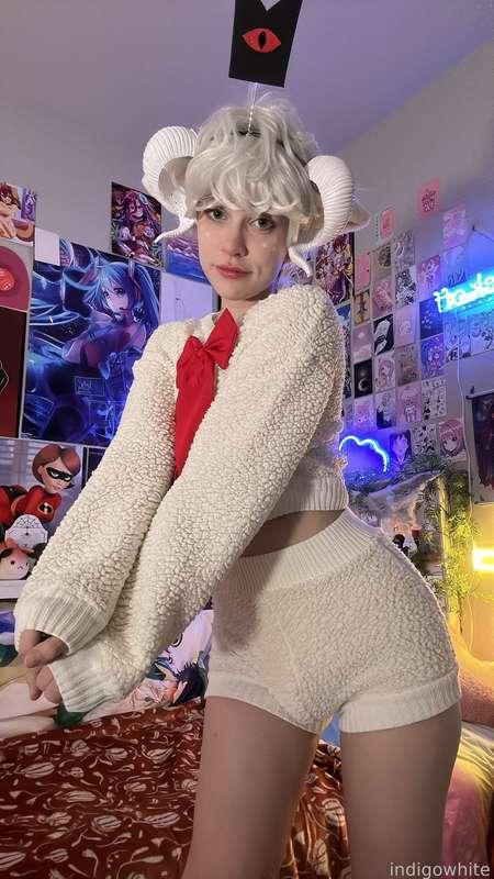indigowhite image #145