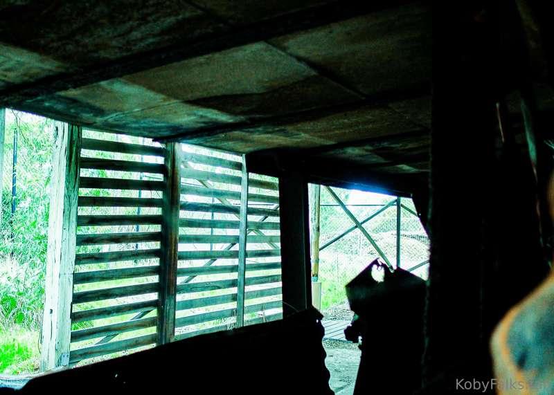 Those old corrugated roofs tell tales, mate. Fancy a story u..
