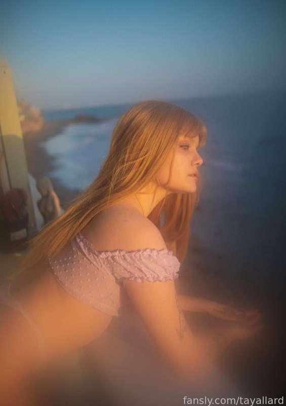 tayallard image #15