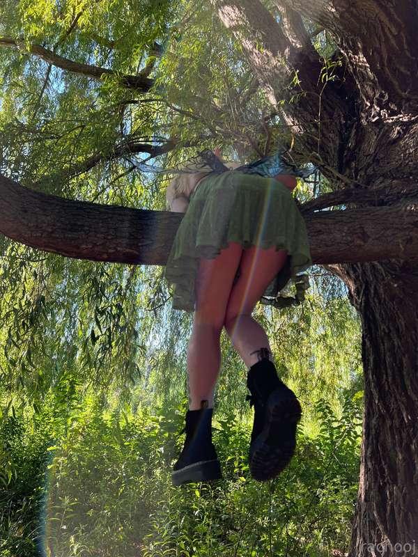 getting stuck in a tree is exhausting!