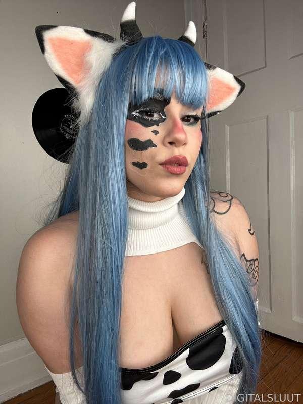 bunnisluut image #18