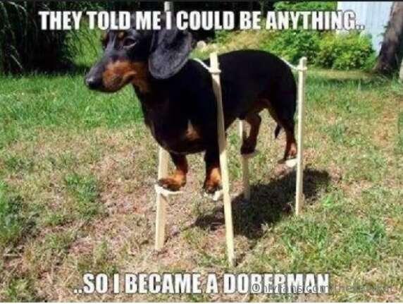 Meme of the Day!